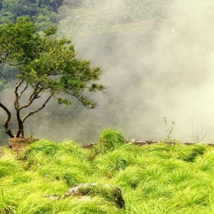 Ponmudi